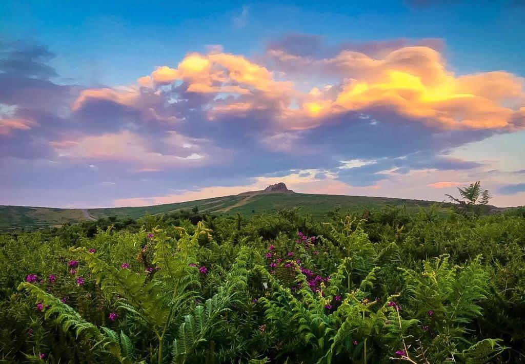 Appartamento Haytor Court, Haytor, Dartmoor Esterno foto