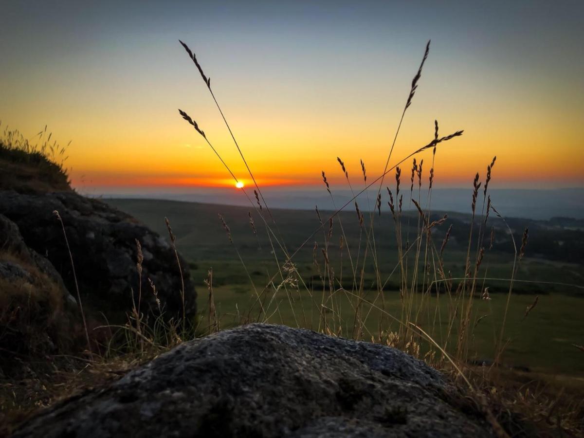 Appartamento Haytor Court, Haytor, Dartmoor Esterno foto