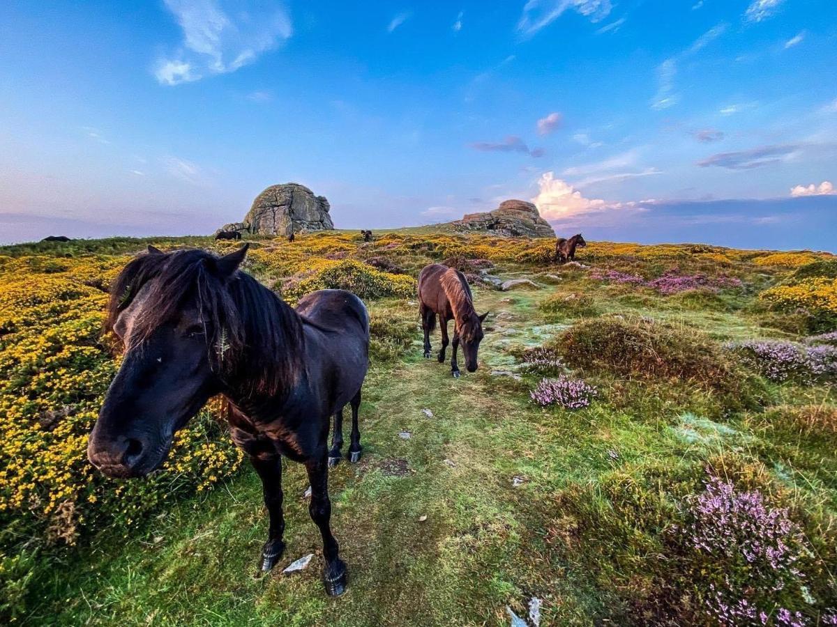 Appartamento Haytor Court, Haytor, Dartmoor Esterno foto